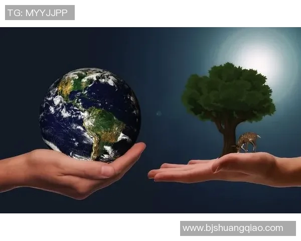 全球气候变化加剧极端天气现象 科学家呼吁全球合作应对未来挑战