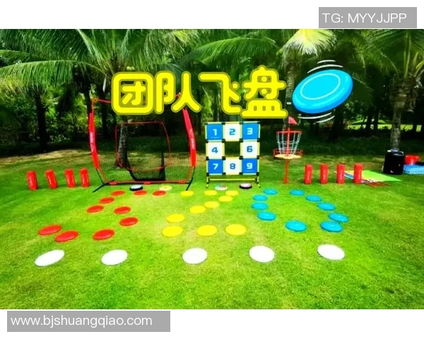 成都飞盘队配合变革引发热议探索团队协作的新模式与未来发展